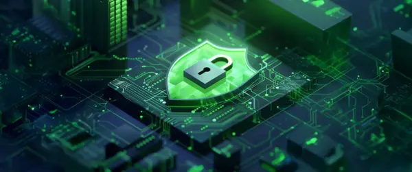 IGSA, Security Audit, Cyber Security, Widespread Standardisation